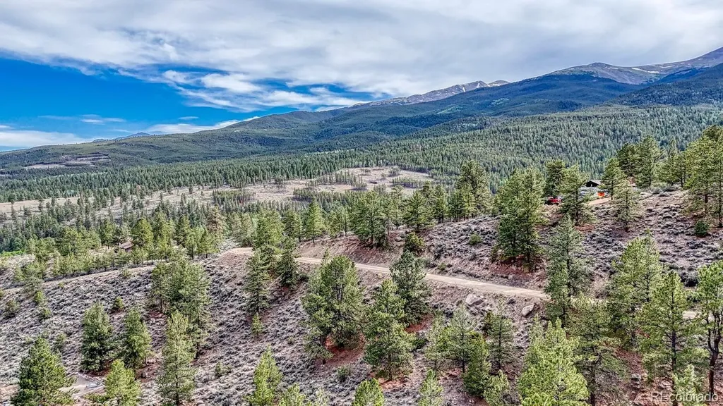 37811 Twin Kopie Road Buena Vista CO 81211