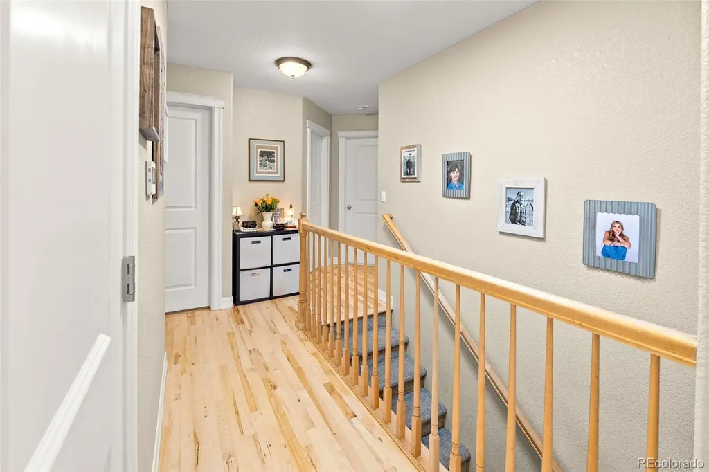 563 Kenai Court Windsor CO 80550