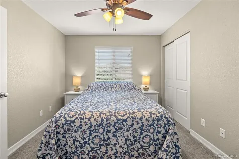 563 Kenai Court Windsor CO 80550