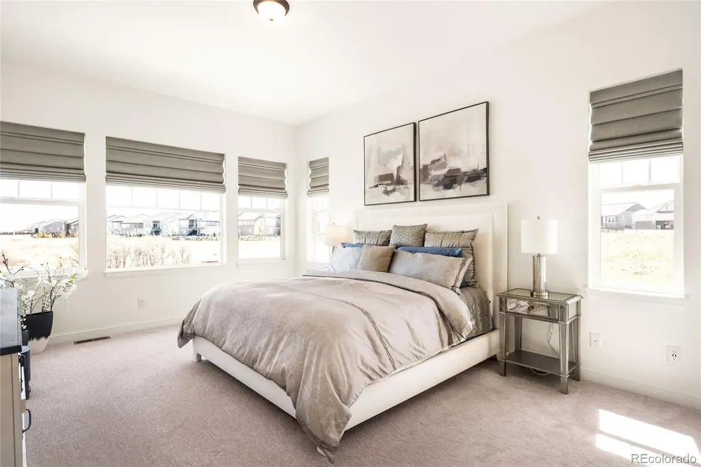 3153 Carabiner Street Castle Rock CO 80108