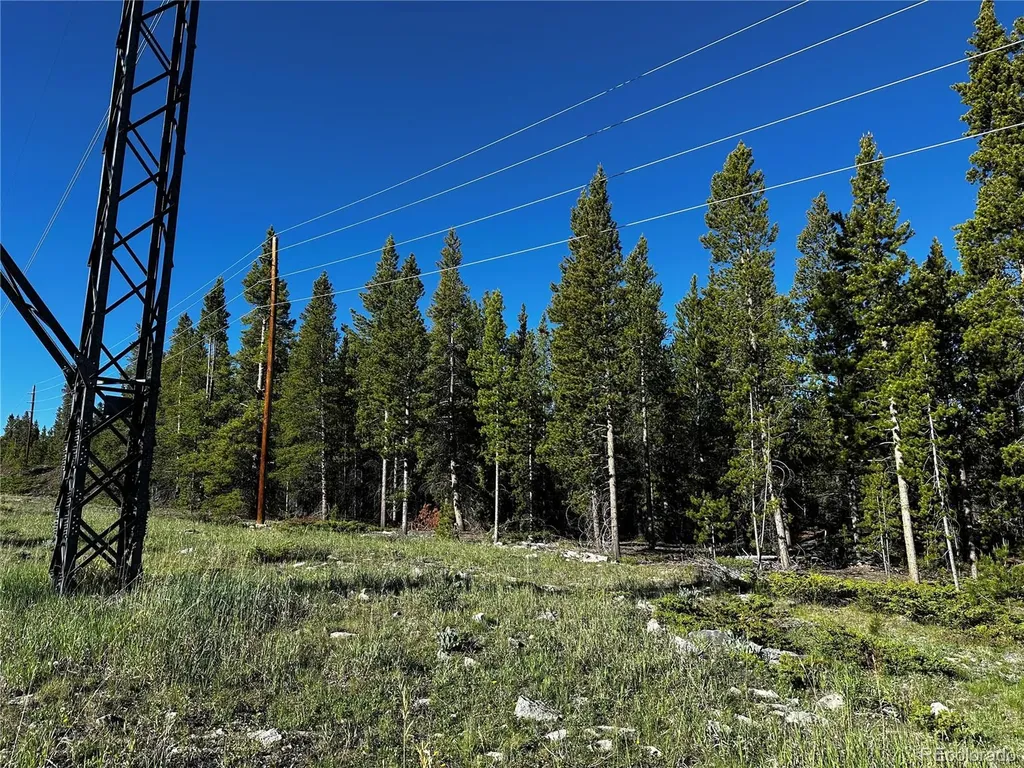 3052 Excelsior Leadville CO 80461