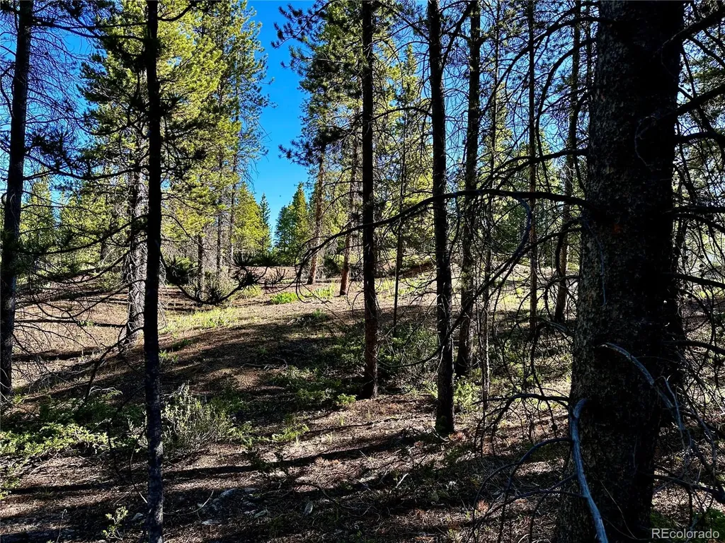 3052 Excelsior Leadville CO 80461