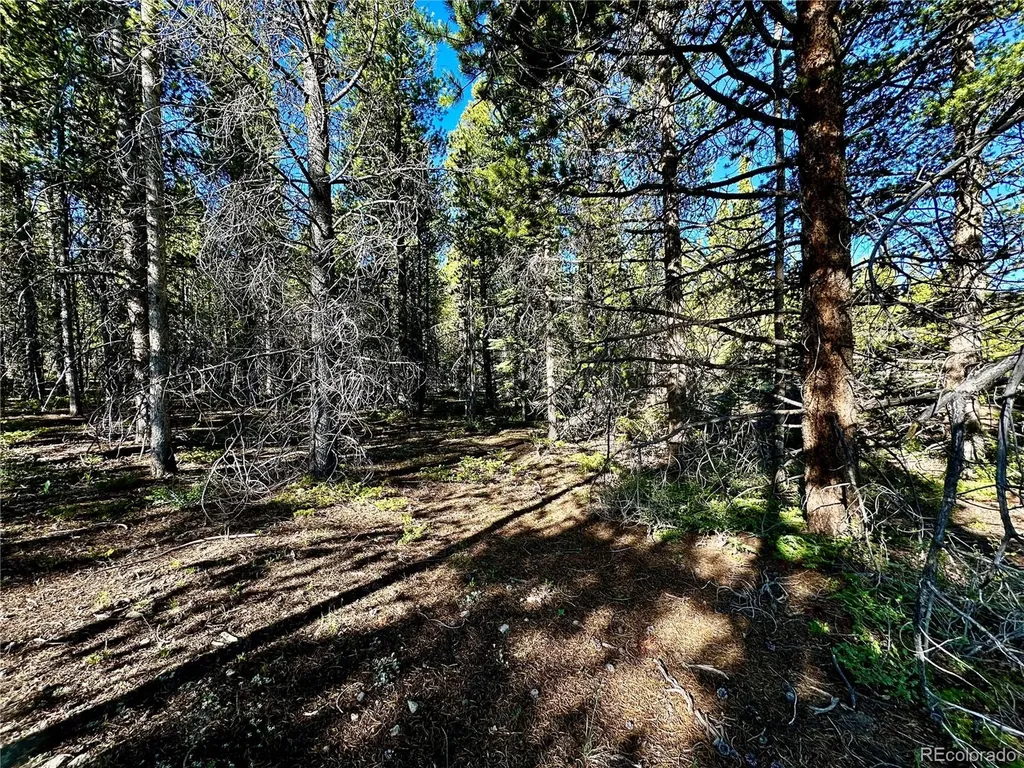 3052 Excelsior Leadville CO 80461