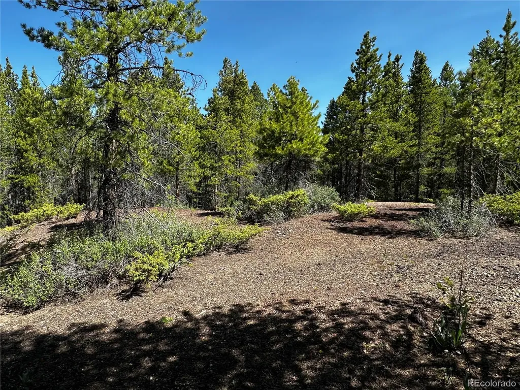3052 Excelsior Leadville CO 80461