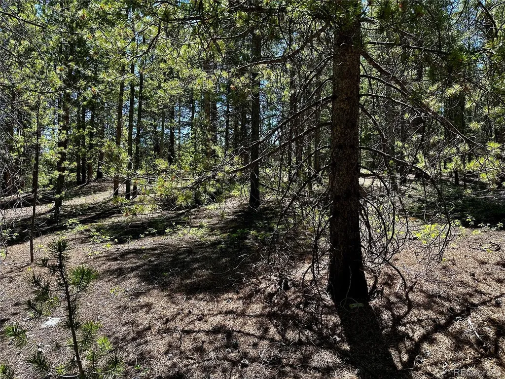 3052 Excelsior Leadville CO 80461