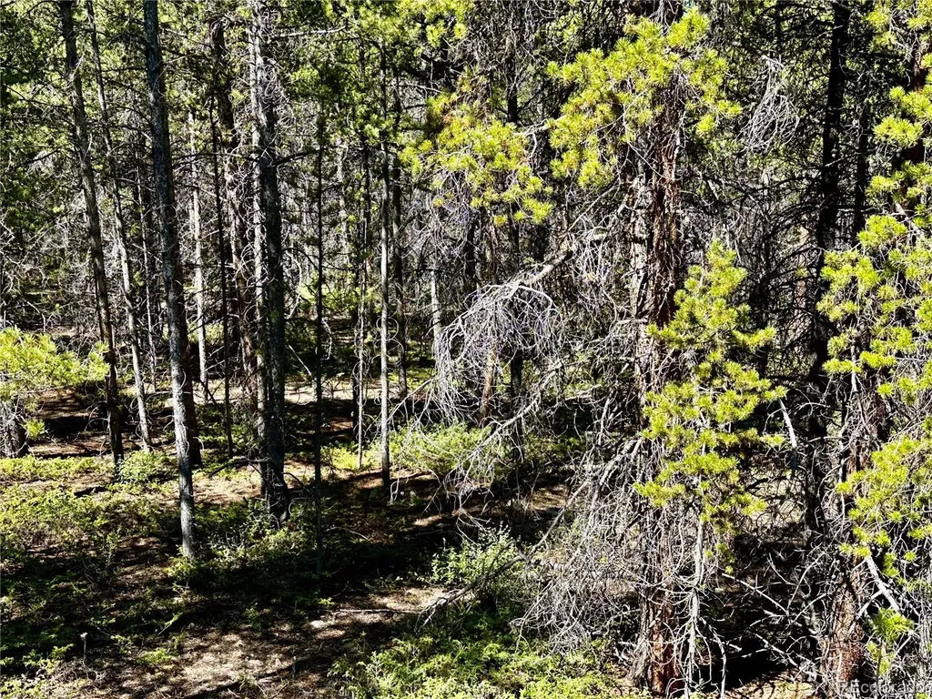 3052 Excelsior Leadville CO 80461
