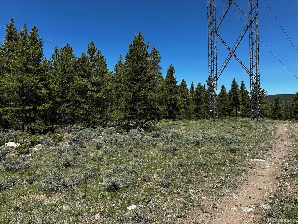 3052 Excelsior Leadville CO 80461