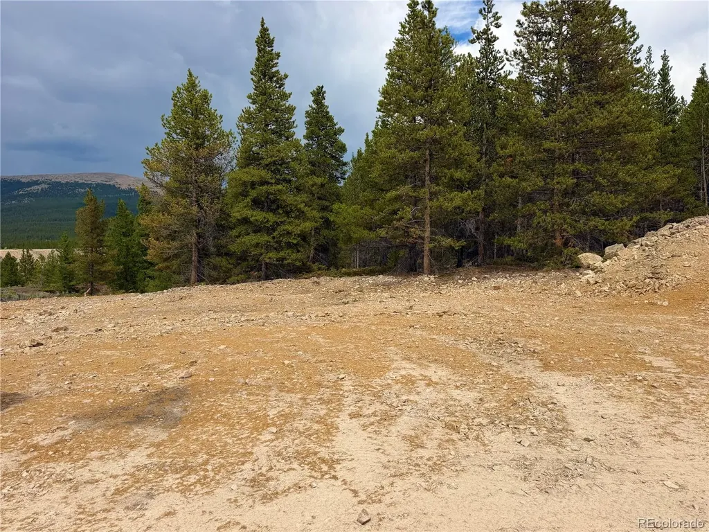 3052 Excelsior Leadville CO 80461