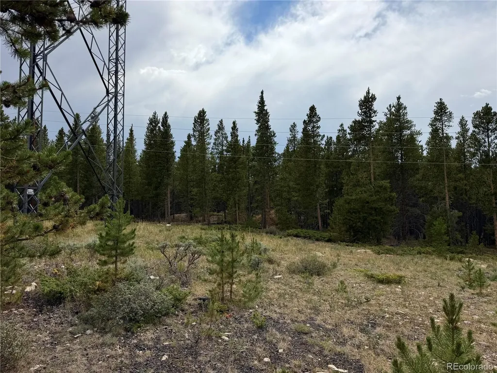 3052 Excelsior Leadville CO 80461