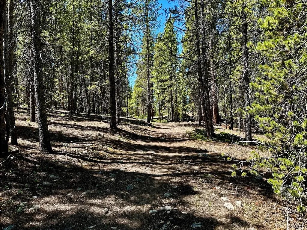 3052 Excelsior Leadville CO 80461
