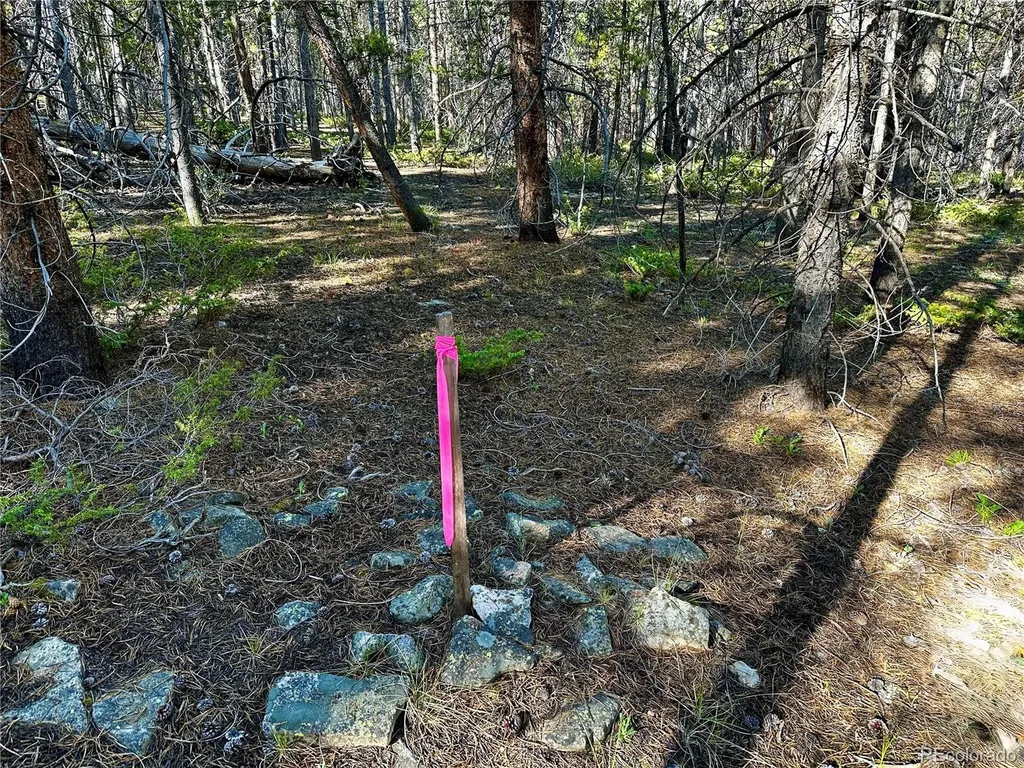 3052 Excelsior Leadville CO 80461