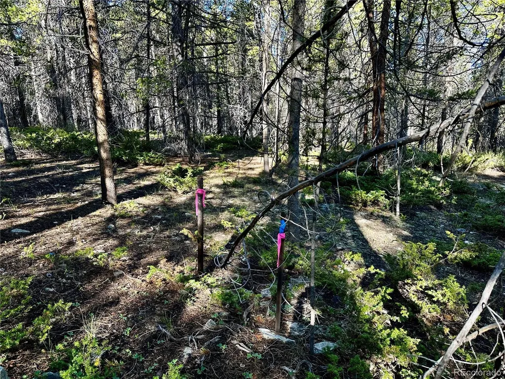 3052 Excelsior Leadville CO 80461
