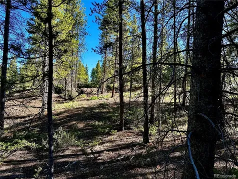 3052 Excelsior Leadville CO 80461