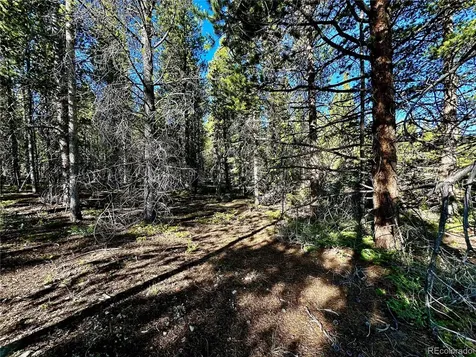 3052 Excelsior Leadville CO 80461