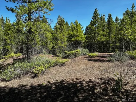 3052 Excelsior Leadville CO 80461