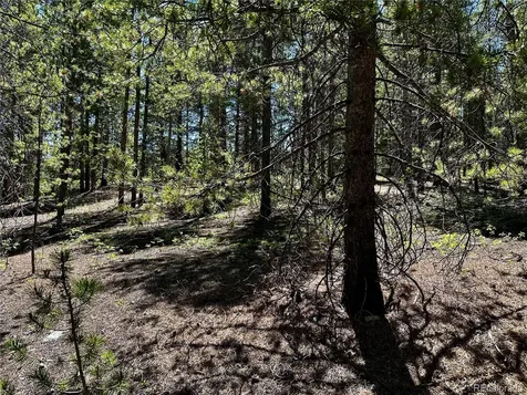 3052 Excelsior Leadville CO 80461