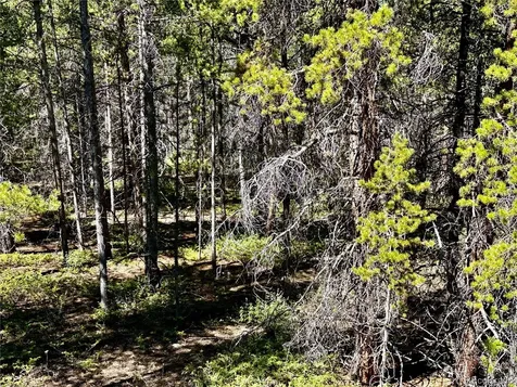 3052 Excelsior Leadville CO 80461