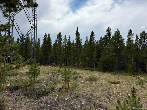 3052 Excelsior Leadville CO 80461