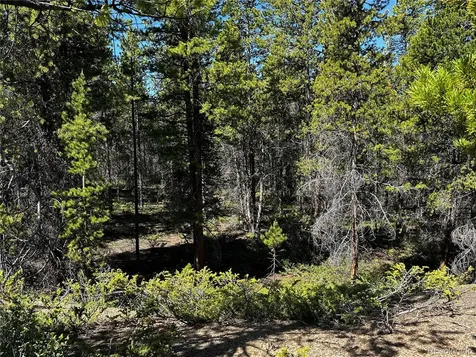 3052 Excelsior Leadville CO 80461