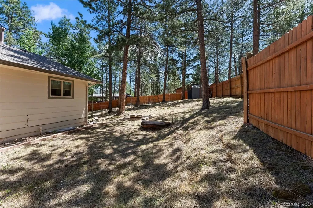 417 Coraline Street Woodland Park CO 80863