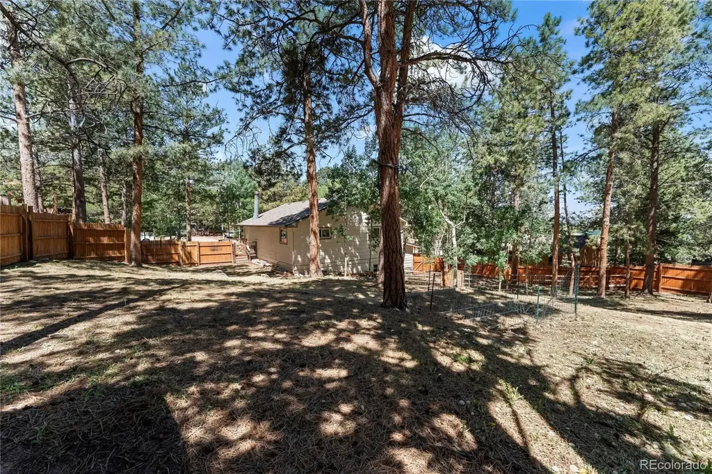 417 Coraline Street Woodland Park CO 80863