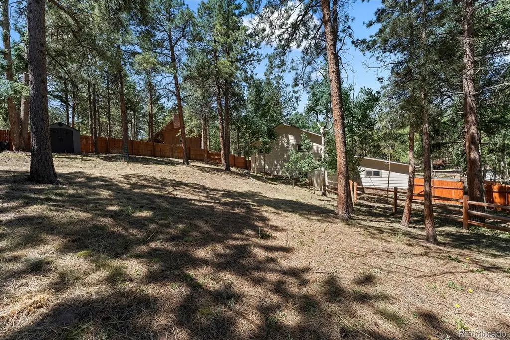 417 Coraline Street Woodland Park CO 80863