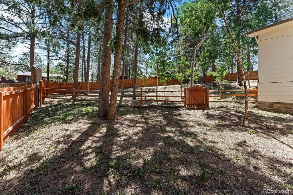 417 Coraline Street Woodland Park CO 80863