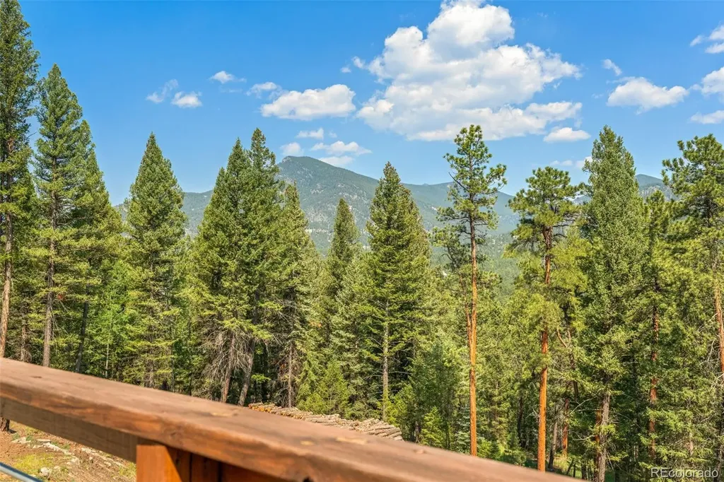 34096 Columbine Circle Evergreen CO 80439