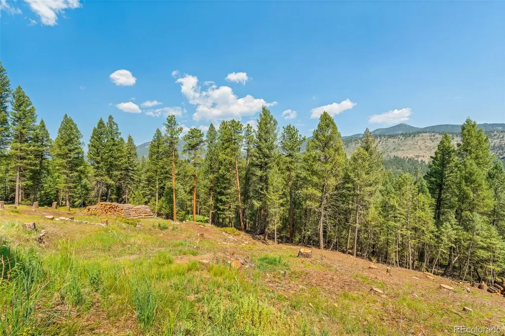 34096 Columbine Circle Evergreen CO 80439