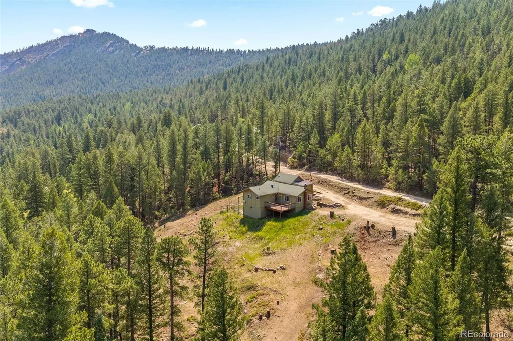 34096 Columbine Circle Evergreen CO 80439