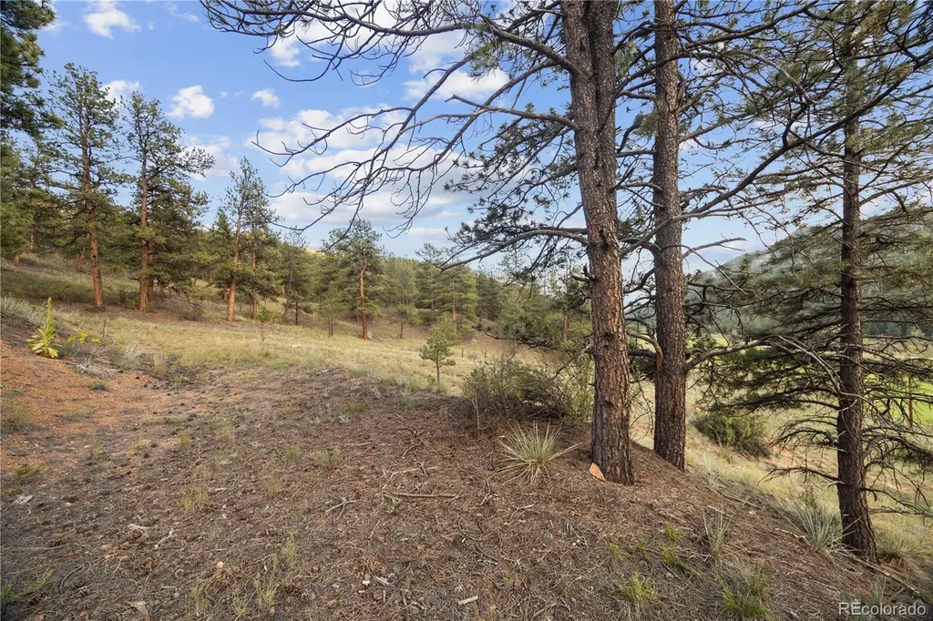 Brynmawr Road Pine CO 80470