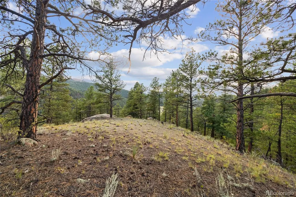 Brynmawr Road Pine CO 80470