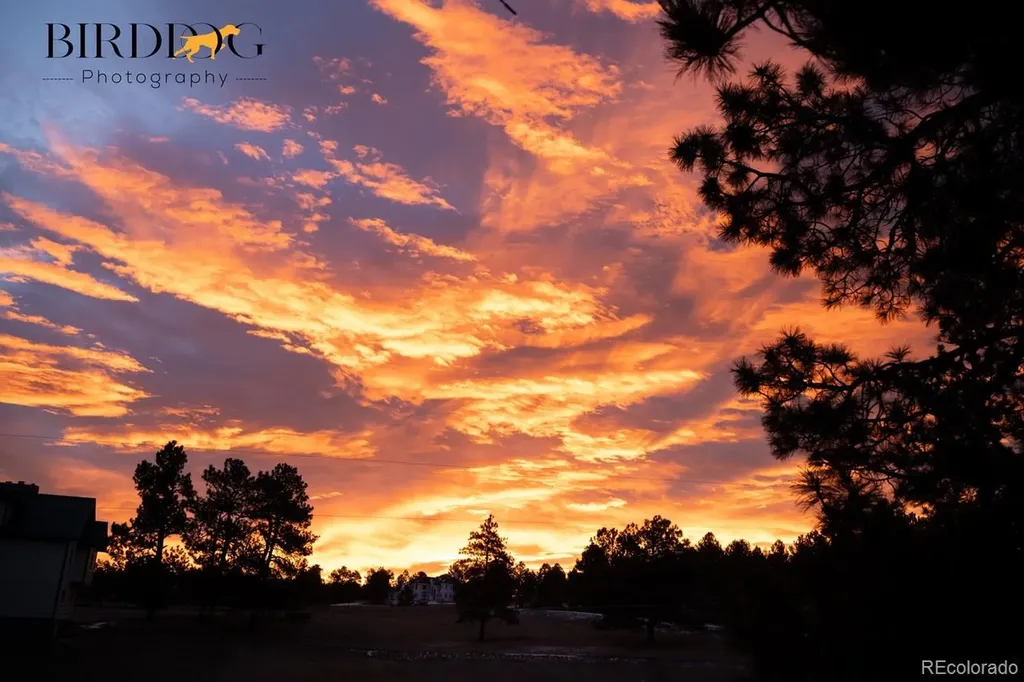 7905 Ponderosa Lane Parker CO 80138