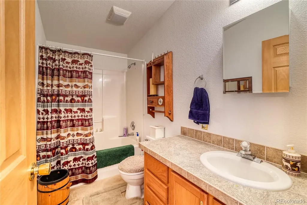 10 Stuart Vista Court Idaho Springs CO 80452