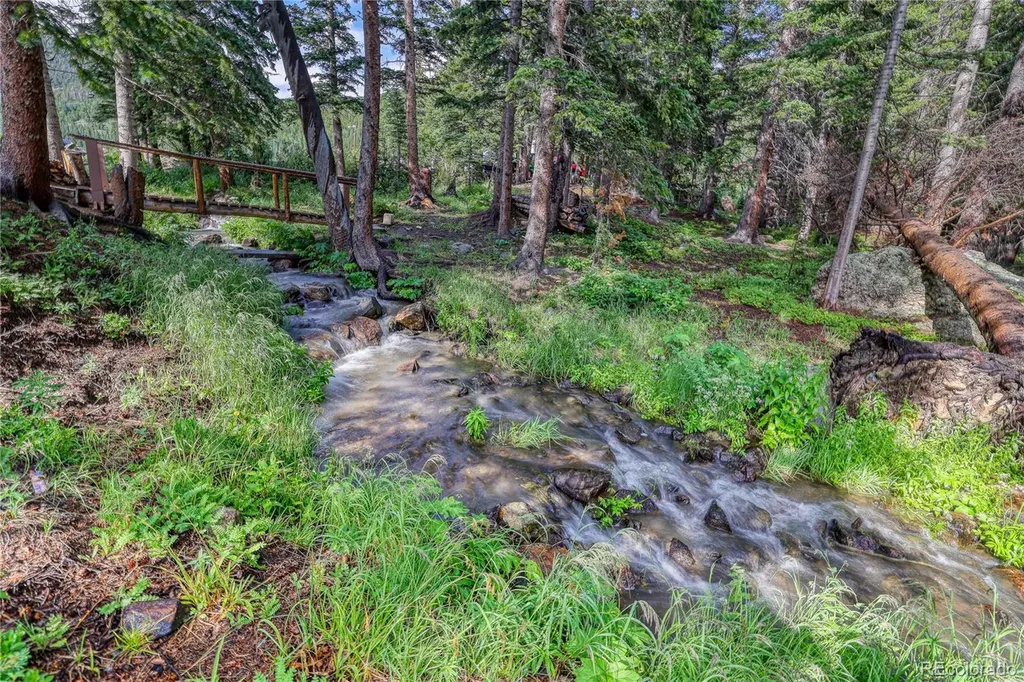 10 Stuart Vista Court Idaho Springs CO 80452