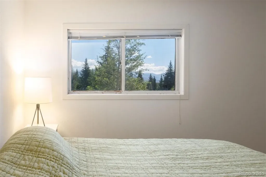 10000 Ryan Gulch Road Silverthorne CO 80498