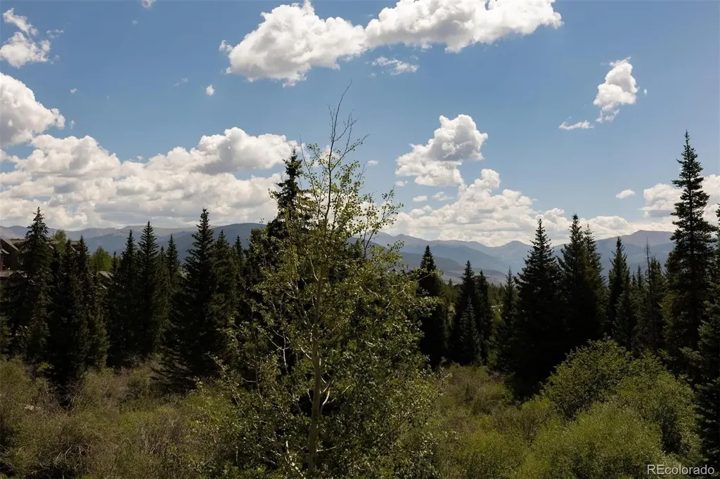 10000 Ryan Gulch Road Silverthorne CO 80498