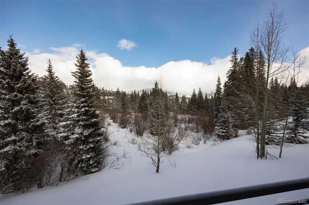 10000 Ryan Gulch Road Silverthorne CO 80498