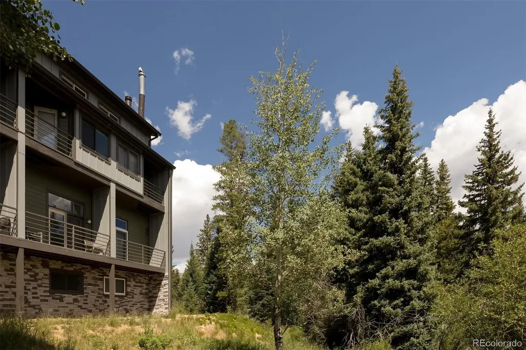 10000 Ryan Gulch Road Silverthorne CO 80498