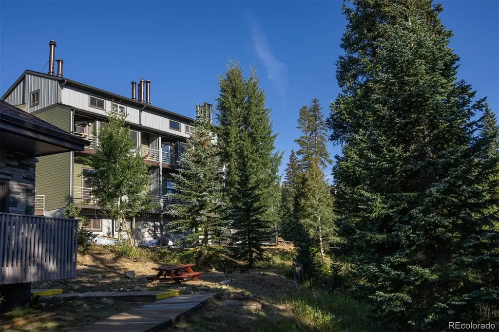 10000 Ryan Gulch Road Silverthorne CO 80498