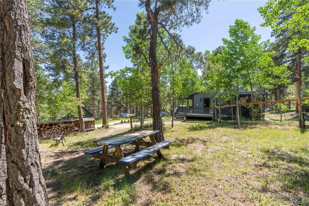 22003 Eggers Avenue Conifer CO 80433