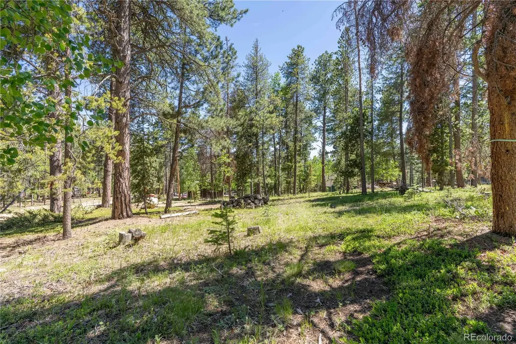 22003 Eggers Avenue Conifer CO 80433