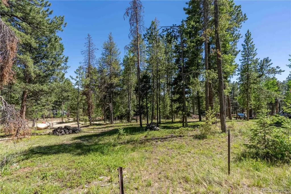 22003 Eggers Avenue Conifer CO 80433