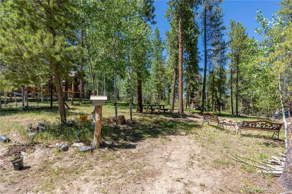 22003 Eggers Avenue Conifer CO 80433