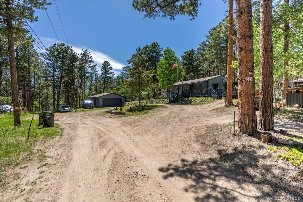 22003 Eggers Avenue Conifer CO 80433