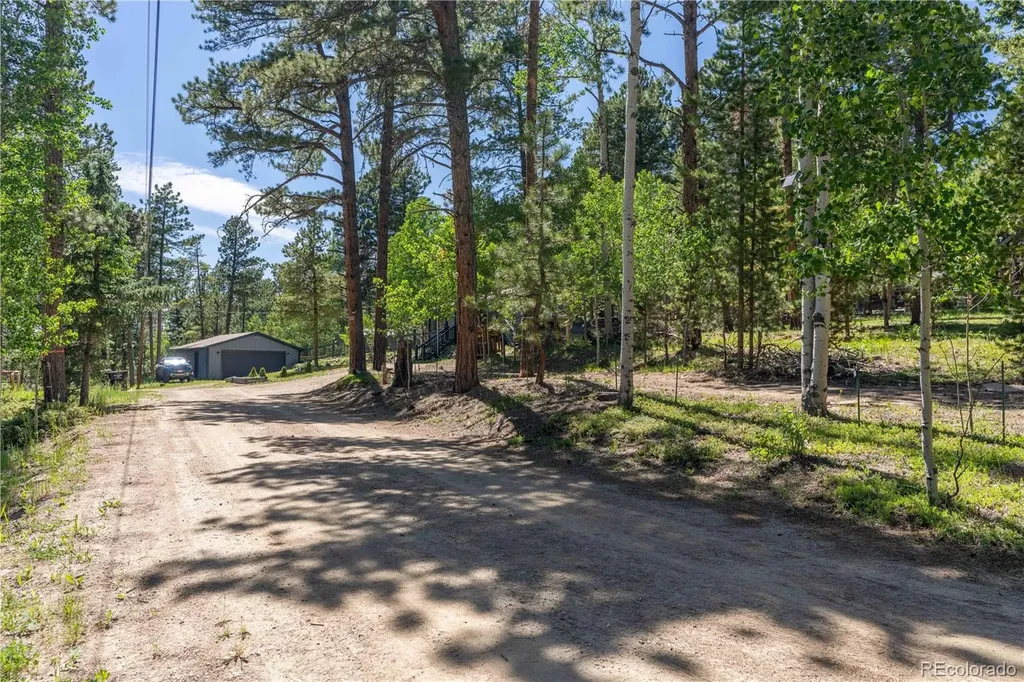 22003 Eggers Avenue Conifer CO 80433
