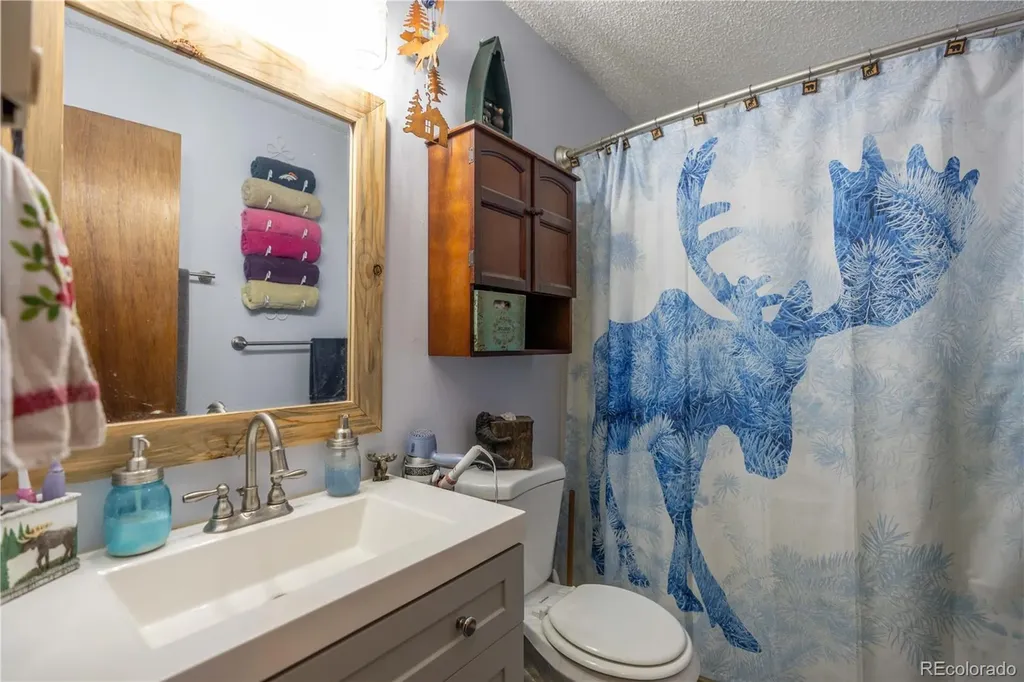 22003 Eggers Avenue Conifer CO 80433