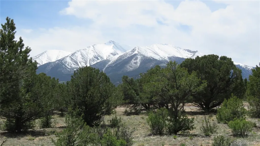 28924 Timber Ridge Buena Vista CO 81211