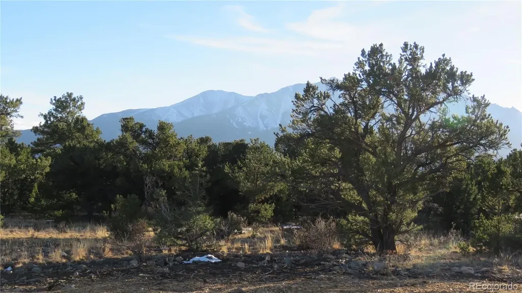 28924 Timber Ridge Buena Vista CO 81211