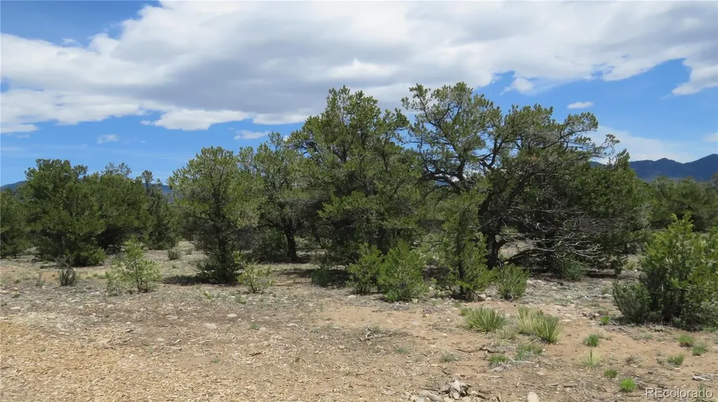 28924 Timber Ridge Buena Vista CO 81211